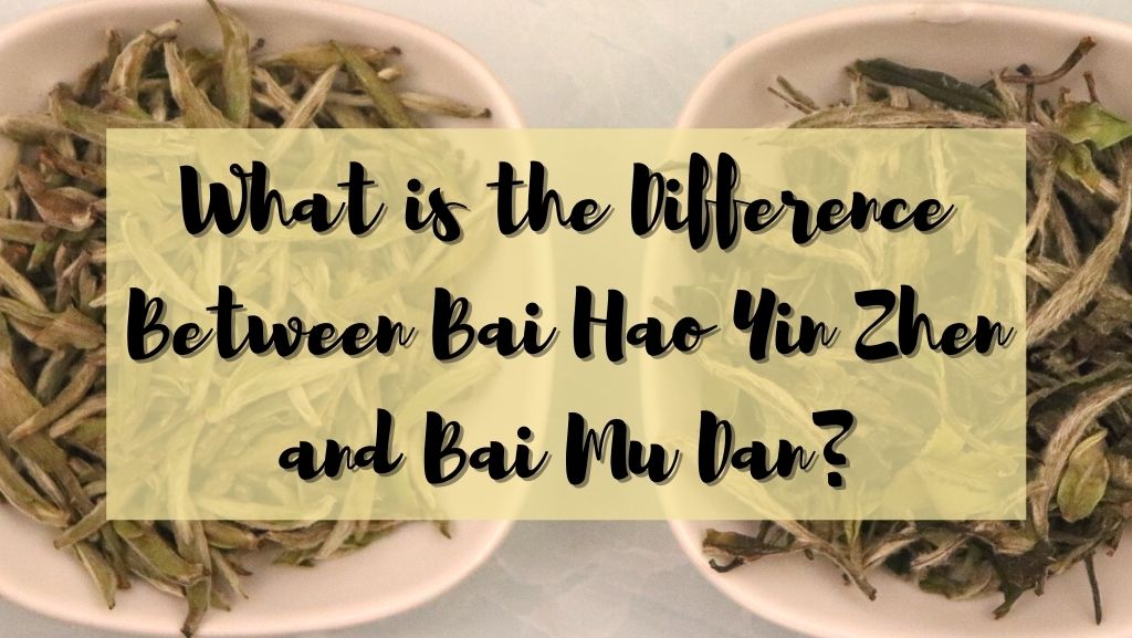 What is the Difference Between Bai Hao Yin Zhen and Bai Mu Dan?