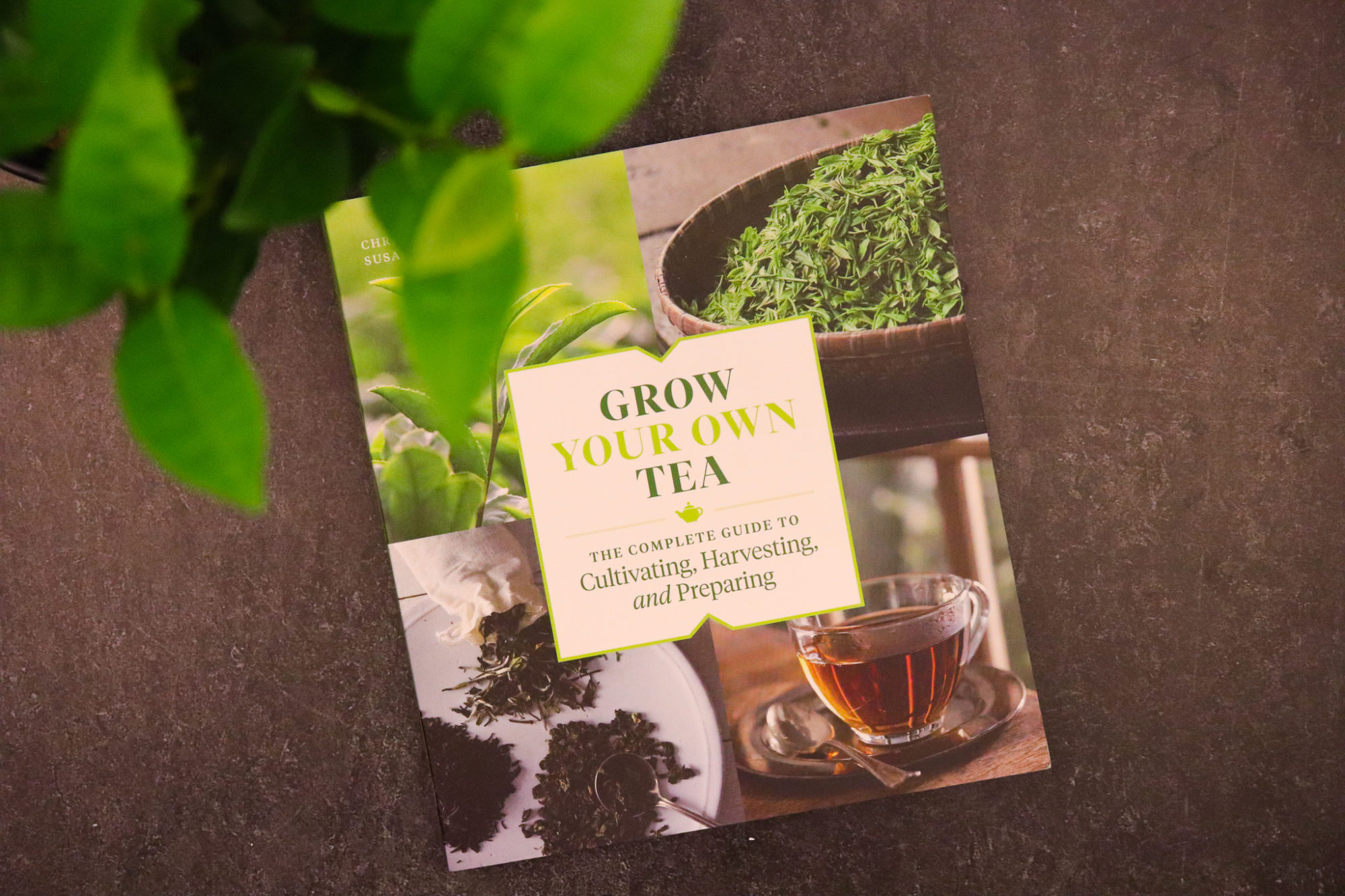 Grow Your Own Tea by Christine Parks and Susan M. Walcott