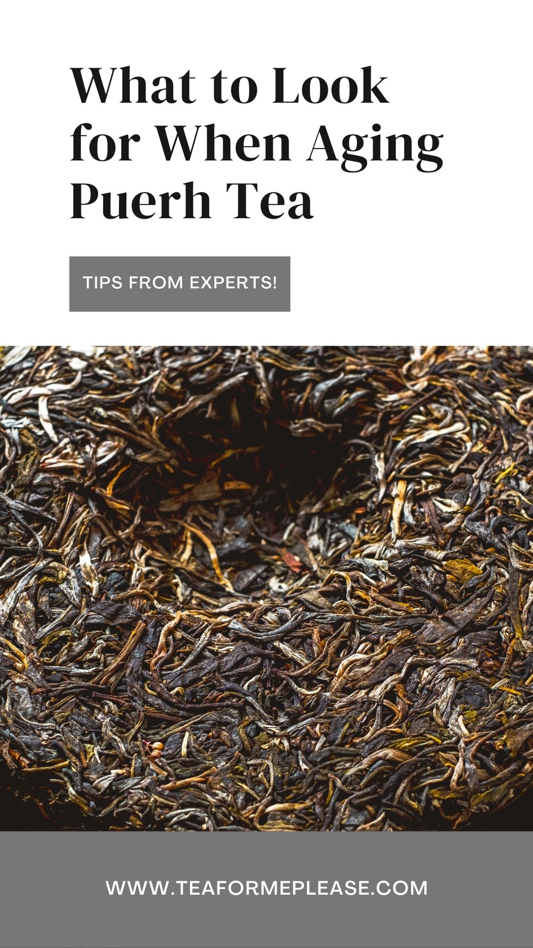 What to Look for When Aging Puerh Tea