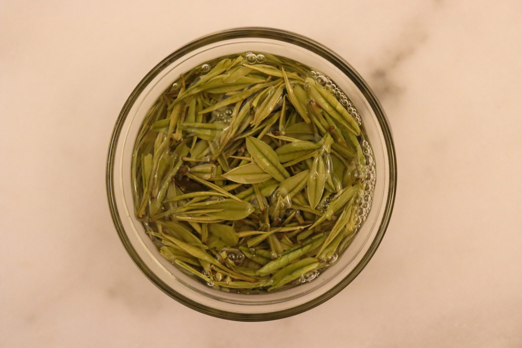 Anji Bai Cha leaves brewing in a gaiwan
