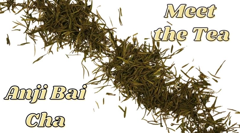 Meet the Tea: Anji Bai Cha