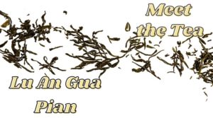 Meet the Tea: Lu An Gua Pian