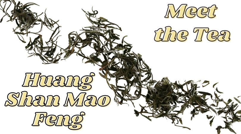 Meet the Tea: Huang Shan Mao Feng