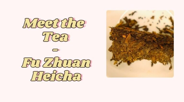 Meet the Tea: Fu Zhuan Heicha