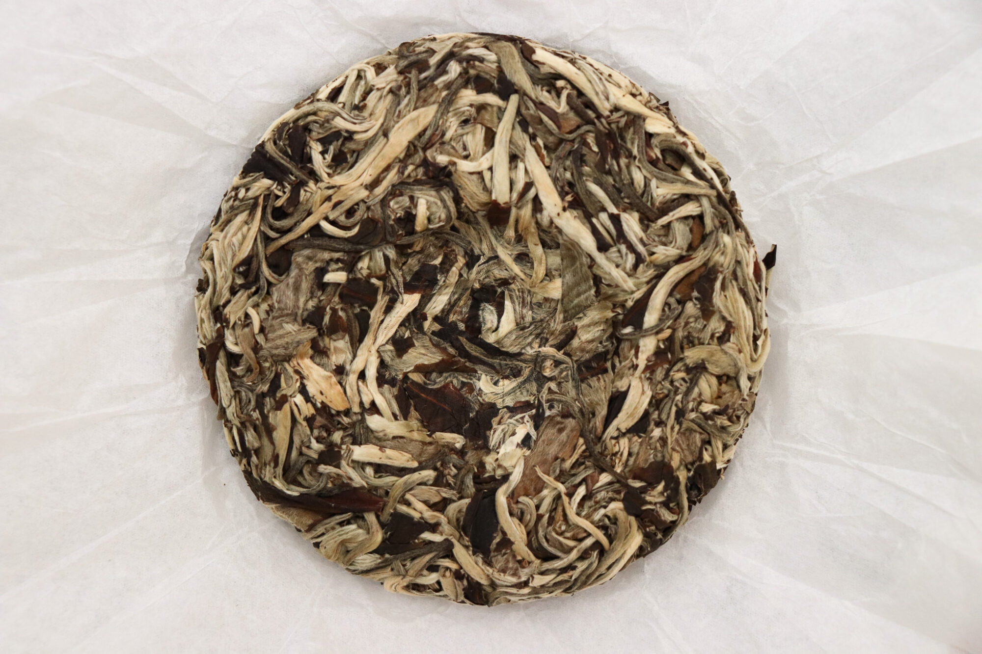 Crimson Lotus Tea 2024 Game Night - White Tea