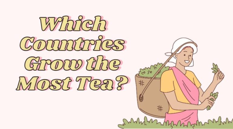 Which Countries Grow the Most Tea?