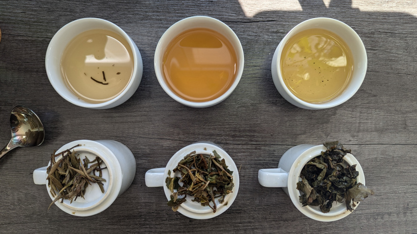 3 Styles of Comparative Tea Tasting You Need to Try