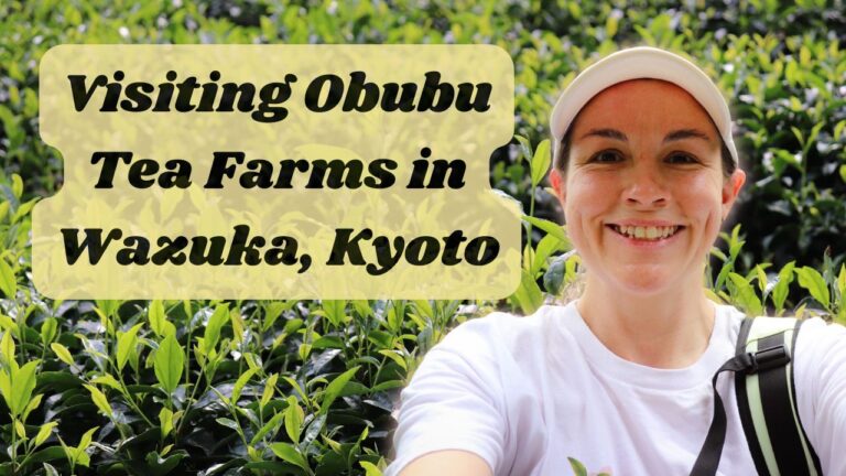 Visiting Obubu Tea Farms in Wazuka, Kyoto