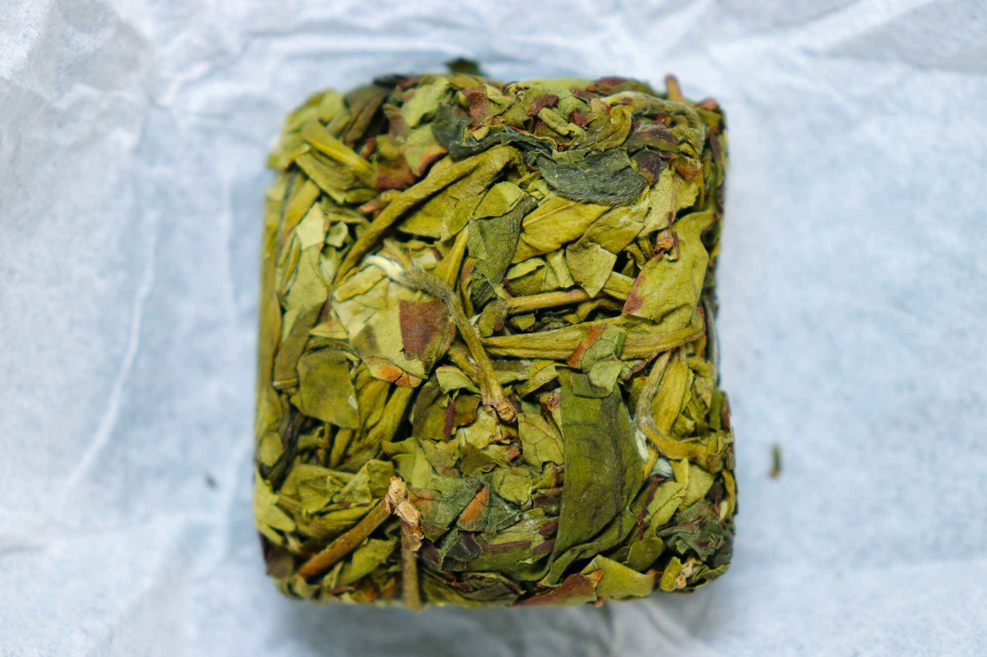 Brew & Blossom Floral Zhangping Shuixian 2