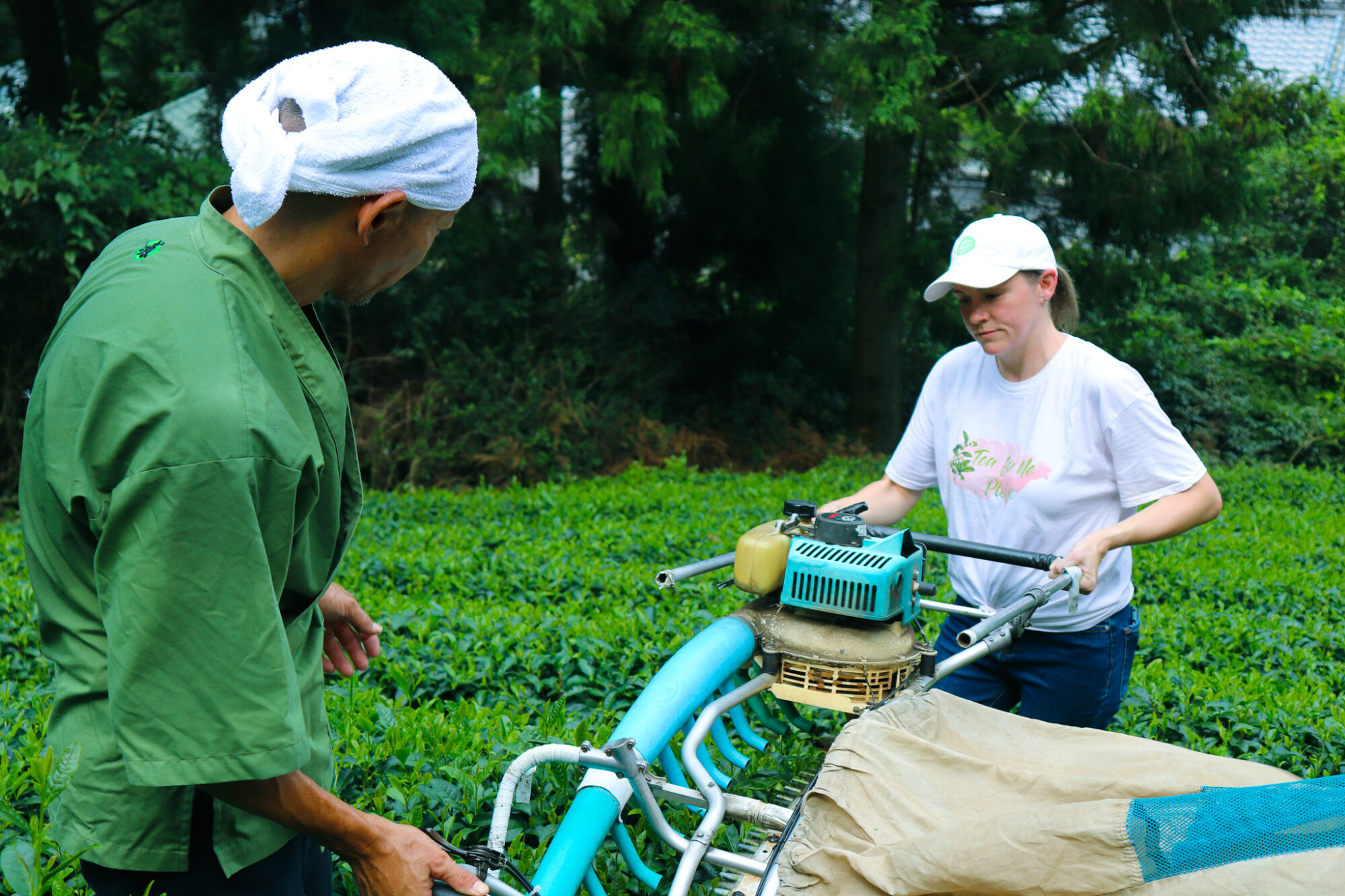 Tea Places: Obubu Tea Farms 3
