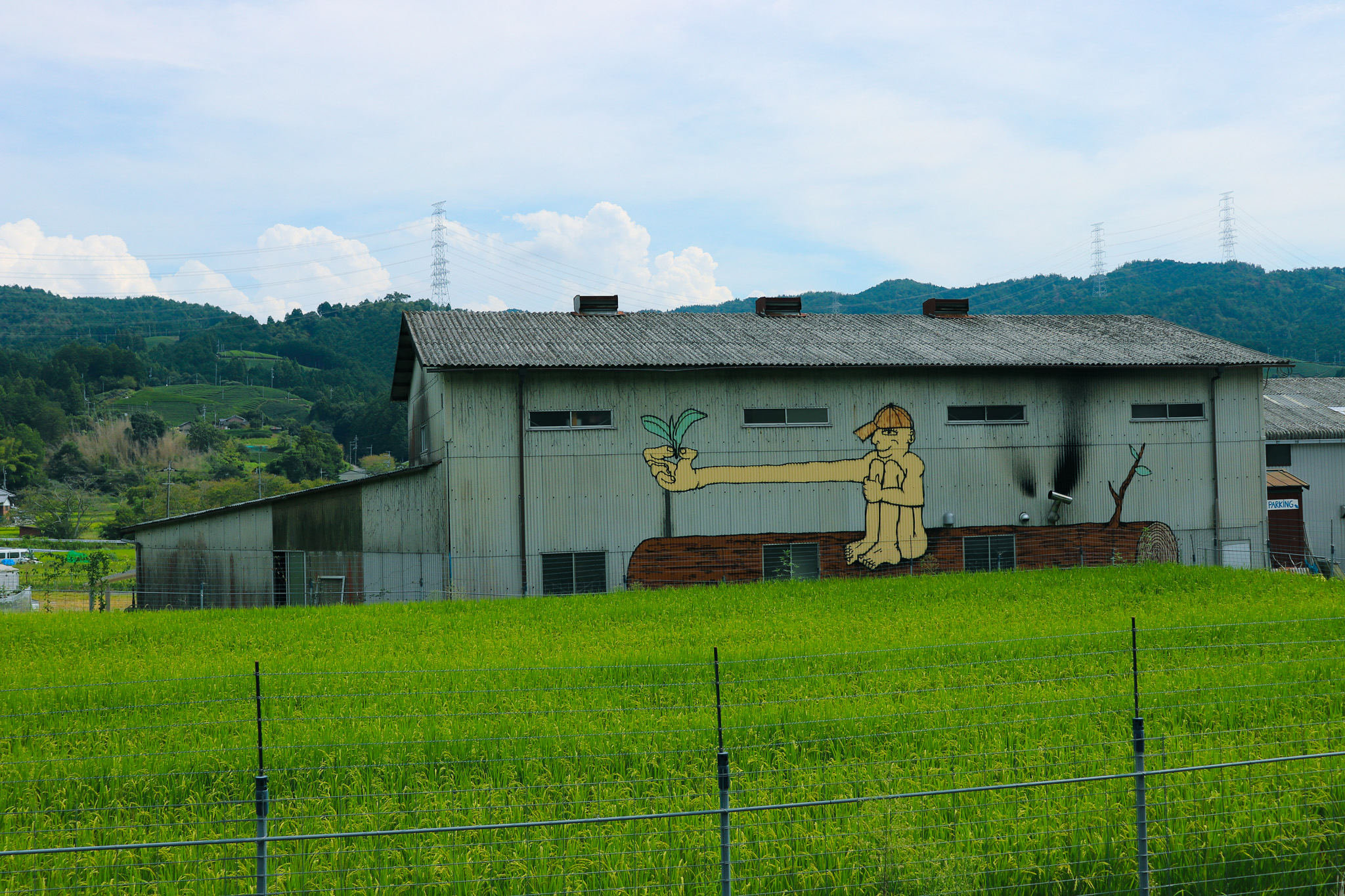 Tea Places: Obubu Tea Farms