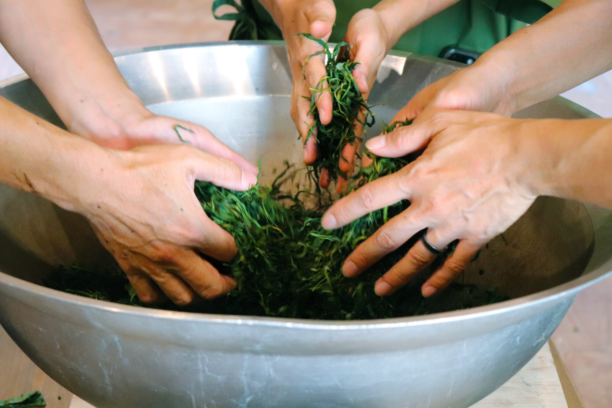 Tea Places: Obubu Tea Farms 9